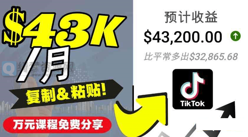 2022抖音国际版Tiktok赚钱项目 每天上传一个视频就轻松月入$4320-白漂资源网