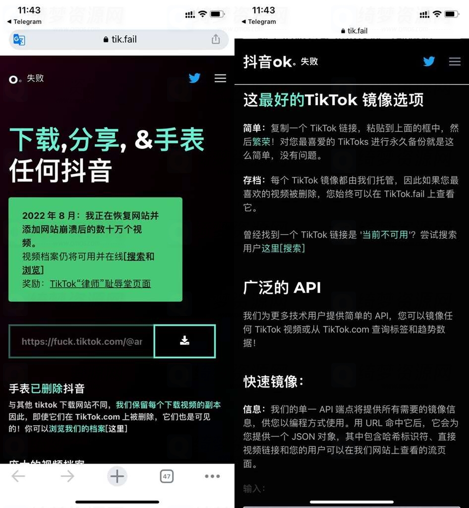 Tiktok镜像站 国内免翻可看-白漂资源网