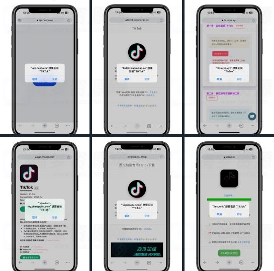 iOS TikTok在线安装合辑-白漂资源网
