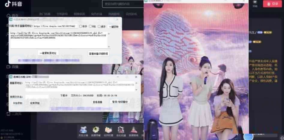 最新电脑版抖音/快手/B站直播源获取+直播间实时录制+直播转播软件+详细教程-白漂资源网