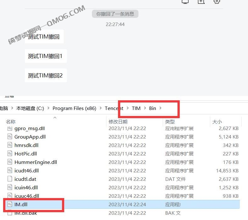 TIM V3.4.8.22124防撤回补丁-白漂资源网